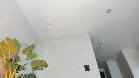 Snapshot of dianac1998 chatting on January 2026 09:18:01 PM dianac1998 online show from January 2026 09:18:01 PM