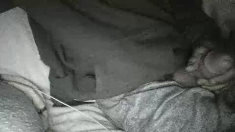 Snapshot of dickseenormous chatting on January 2025 11:33:01 AM dick online show from January 2025 11:33:01 AM