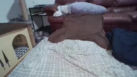 Snapshot of dickslayerdan chatting on November 2025 12:31:01 AM dickslayerdan online show from November 2025 12:31:01 AM