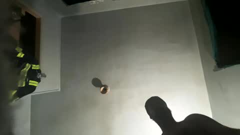 dickybigball online show from October 2025 11:52:02 AM