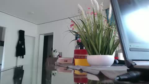 squirtcock online show from April 2026 11:59:02 AM