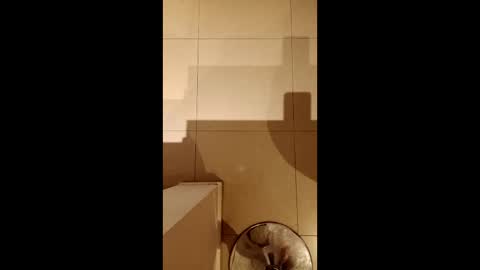 Diego online show from February 2026 10:33:01 PM