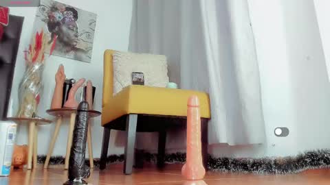 difiortiffany online show from May 2026 04:07:02 AM