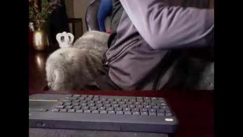 The Digital Pimp.... online show from May 2026 01:17:02 PM
