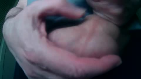 Nick online show from February 2025 12:41:02 PM