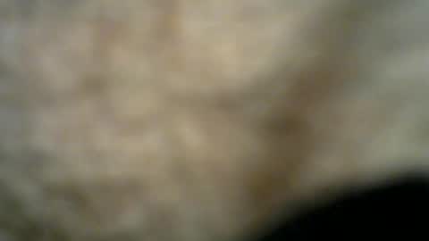 Bob online show from July 2026 11:22:02 PM