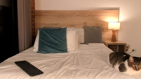 Snapshot of dilarahkessh chatting on January 2025 10:32:02 AM Dilarahkesh online show from January 2025 10:32:02 AM