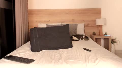 Snapshot of dilarahkessh chatting on February 2025 07:15:01 AM Dilarahkesh online show from February 2025 07:15:01 AM