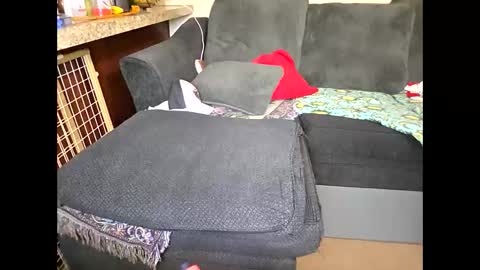 Sofie online show from May 2026 01:39:01 PM