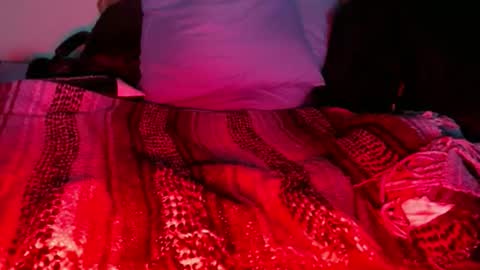 dino9999999 online show from February 2026 01:05:02 AM