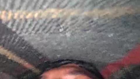 Snapshot of dino_7711 chatting on December 2025 07:42:02 PM dyno online show from December 2025 07:42:02 PM