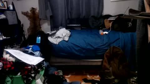 Snapshot of dinodick4uall chatting on January 2025 08:03:01 AM dinodick4uall online show from January 2025 08:03:01 AM