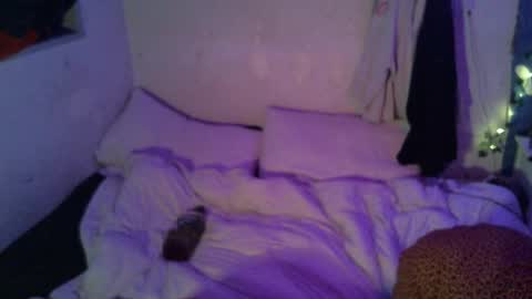 Snapshot of dipptripper chatting on April 2026 10:05:01 AM Thomas OMalley online show from April 2026 10:05:01 AM