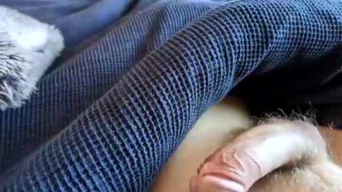 dirkd85 online show from May 2026 12:21:01 PM