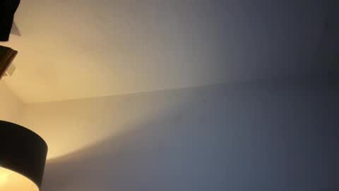 Snapshot of dirtybastard81 chatting on November 2025 01:49:01 AM Jan online show from November 2025 01:49:01 AM