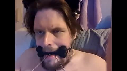 Snapshot of dirtydogsday chatting on February 2026 11:27:02 PM Dirtydog online show from February 2026 11:27:02 PM