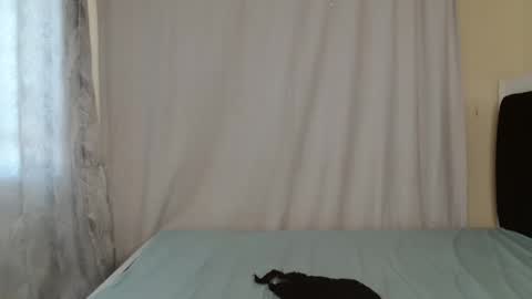 disah_002 online show from May 2026 11:18:01 AM