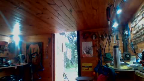 discretopasivo online show from June 2026 05:00:02 PM