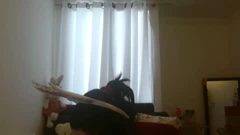 Snapshot of disneey2888 chatting on November 2025 08:19:02 PM disneey2888 online show from November 2025 08:19:02 PM