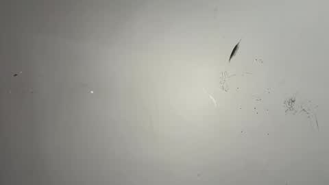 Snapshot of dixkzilla chatting on February 2026 02:52:01 AM dixkzilla online show from February 2026 02:52:01 AM