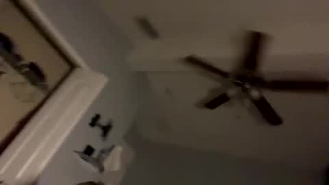 Snapshot of dixnice chatting on February 2026 07:20:01 AM dixnice online show from February 2026 07:20:01 AM