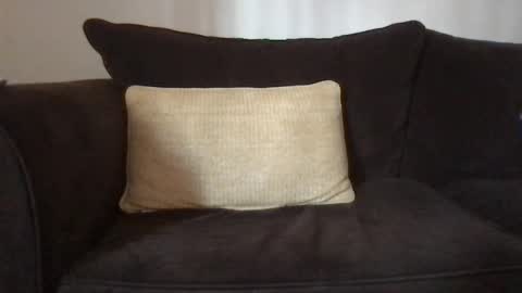 Dizzydig online show from January 2025 05:08:01 PM