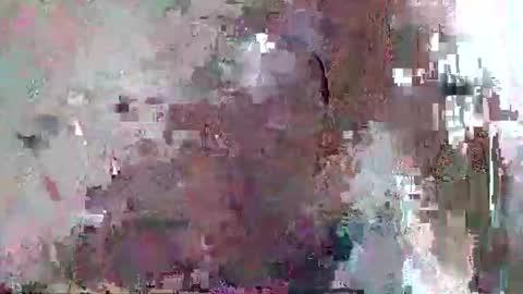 djentlemen1 online show from November 2025 10:50:02 AM