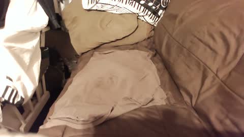 do4you2 online show from January 2025 02:23:01 PM