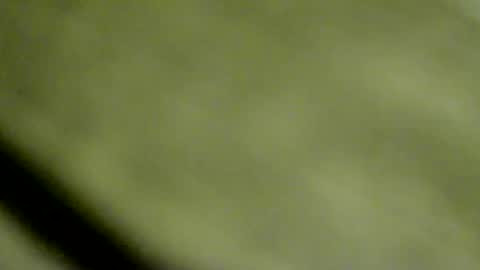 Doby online show from January 2026 10:46:02 PM