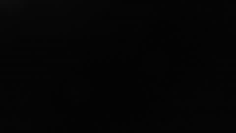 domenica online show from June 2026 12:11:02 PM