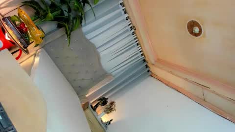 Snapshot of dominantgoddessontop chatting on September 2025 06:31:02 PM CALL ME BABY BELLA online show from September 2025 06:31:02 PM