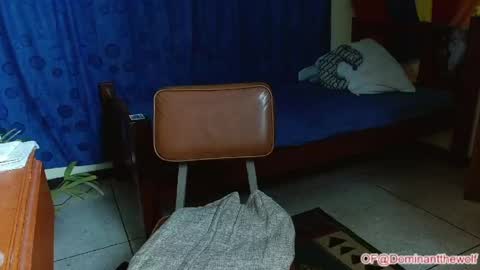 Logan - INDEPENDET MODEL online show from May 2026 05:46:01 AM
