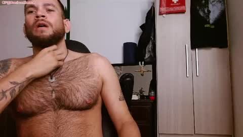 Logan - INDEPENDET MODEL online show from May 2026 07:24:02 AM