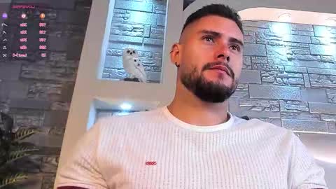 Snapshot of dominic_de_luca chatting on November 2025 04:11:01 AM dominic de luca online show from November 2025 04:11:01 AM