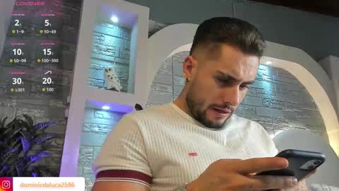 Snapshot of dominic_de_luca chatting on December 2025 03:26:02 AM dominic de luca online show from December 2025 03:26:02 AM