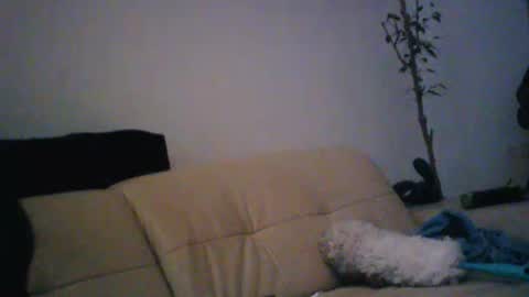 donosus online show from January 2026 01:31:01 AM