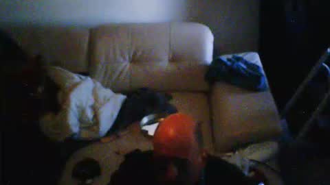 donosus online show from February 2026 10:05:01 AM