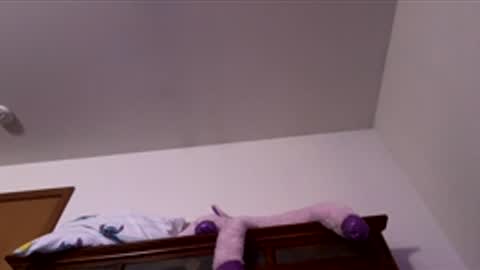 doodlez224472 online show from December 2025 12:54:01 PM