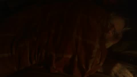 Snapshot of dorsetbiker714 chatting on December 2024 09:33:01 PM Hello welcome to Slutsville I am the Naked Chef really but you may call me Peter online show from December 2024 09:33:01 PM