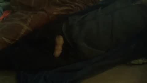 Snapshot of dorsetbiker714 chatting on February 2025 10:04:01 AM Hello welcome to Slutsville I am the Naked Chef really but you may call me Peter online show from February 2025 10:04:01 AM