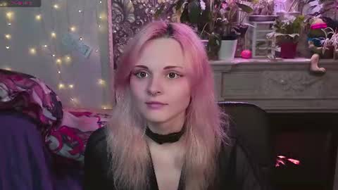 DiBi online show from July 2026 03:56:02 AM