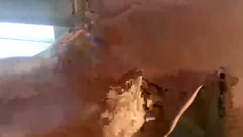 doug_funnie online show from April 2026 07:26:02 PM