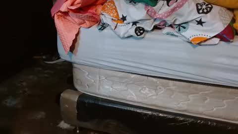 dreamreal online show from May 2026 10:34:02 AM