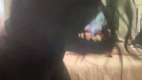 Snapshot of dreamtiffyxxx chatting on January 2026 06:35:01 PM dreamtiffyxxx online show from January 2026 06:35:01 PM