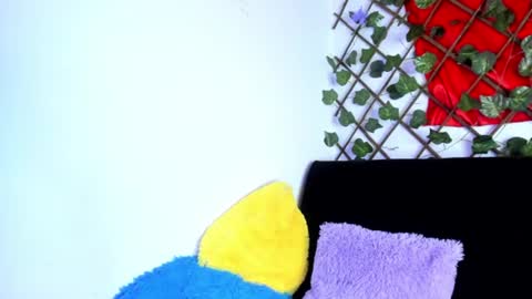 Dreyk online show from August 2026 08:33:01 PM
