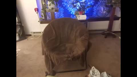 dribblez420 online show from October 2025 03:12:02 AM