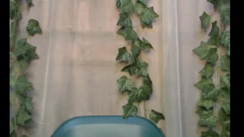 Snapshot of dripqueenx chatting on September 2025 11:04:02 AM linda online show from September 2025 11:04:02 AM