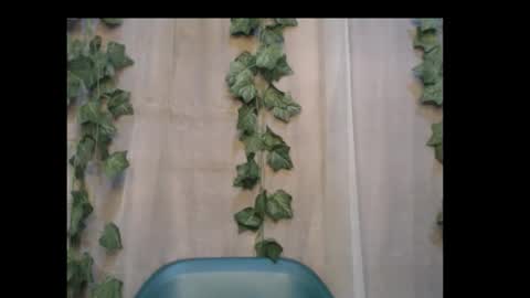 Snapshot of dripqueenx chatting on October 2025 08:50:02 PM linda online show from October 2025 08:50:02 PM