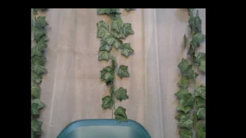 Snapshot of dripqueenx chatting on October 2025 02:09:02 AM linda online show from October 2025 02:09:02 AM