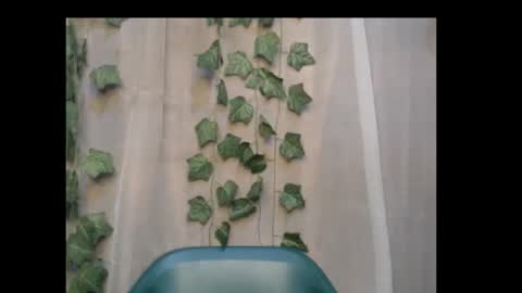 Snapshot of dripqueenx chatting on October 2025 11:57:02 PM linda online show from October 2025 11:57:02 PM